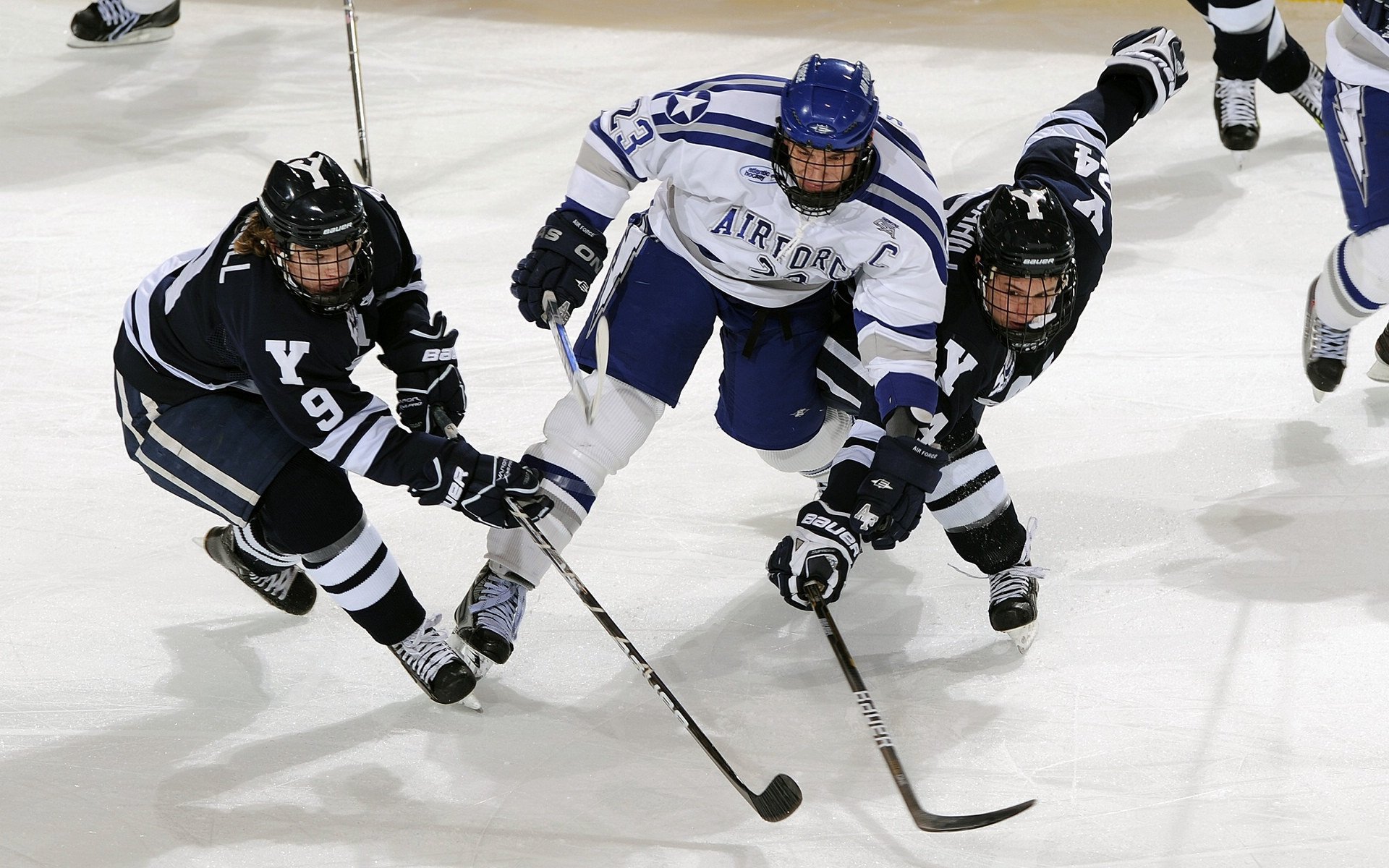 揭秘体操高分背后的技术细节，体操打分最高分